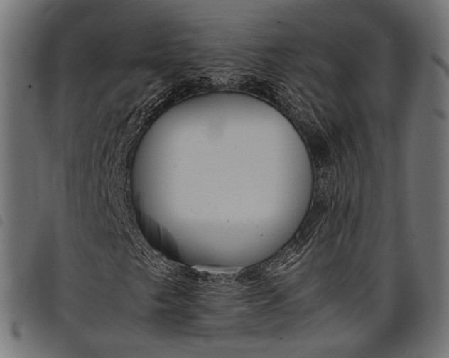 X0000097881249200803281216