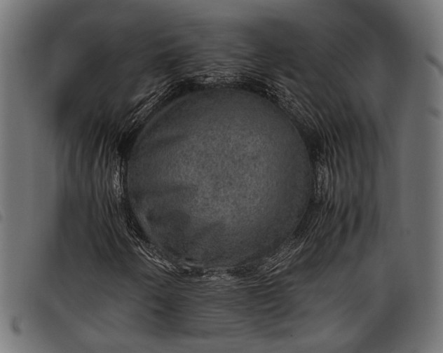 X0000097881250200803281216