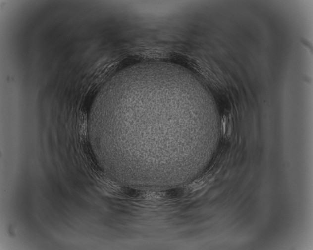 X0000097881251200803281216