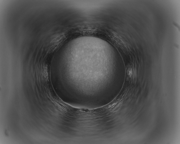 X0000097881252200803281216