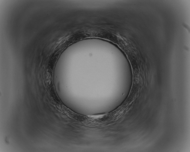 X0000097881253200803281216