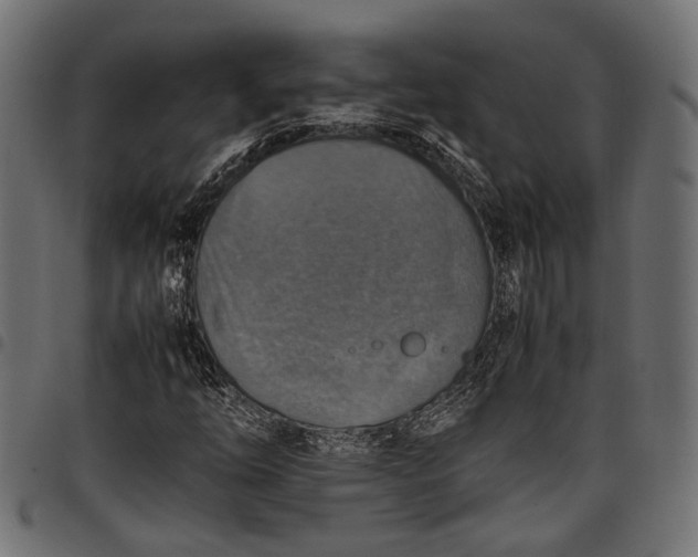 X0000097881254200803281216