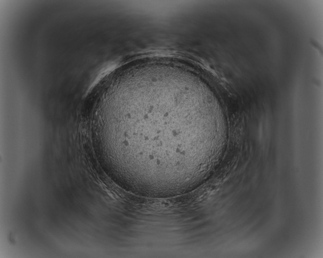 X0000097881255200803281216