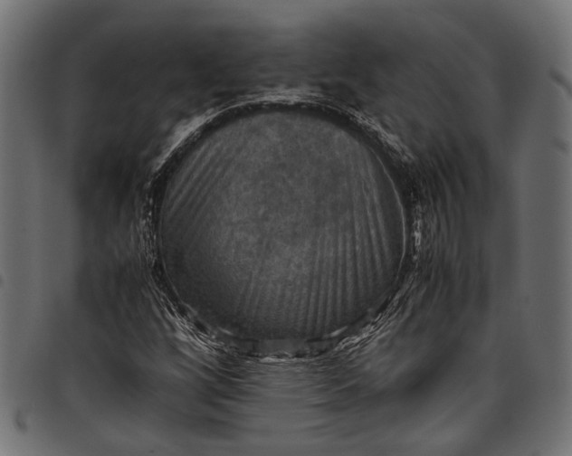 X0000097881256200803281216