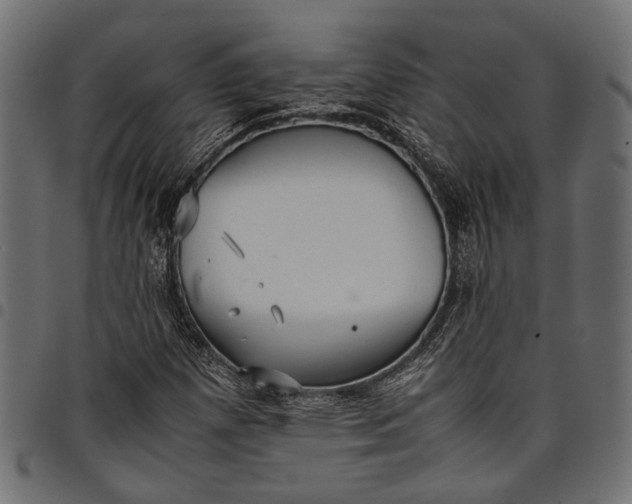 X0000097881257200803281216