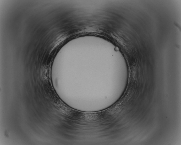 X0000097881258200803281216