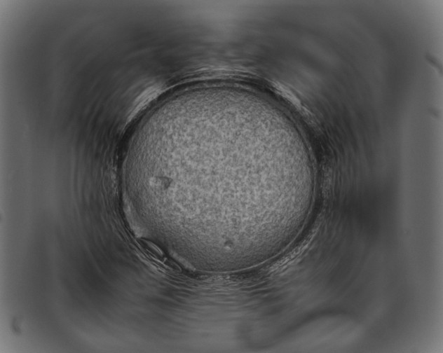 X0000097881259200803281216