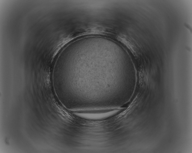 X0000097881260200803281216