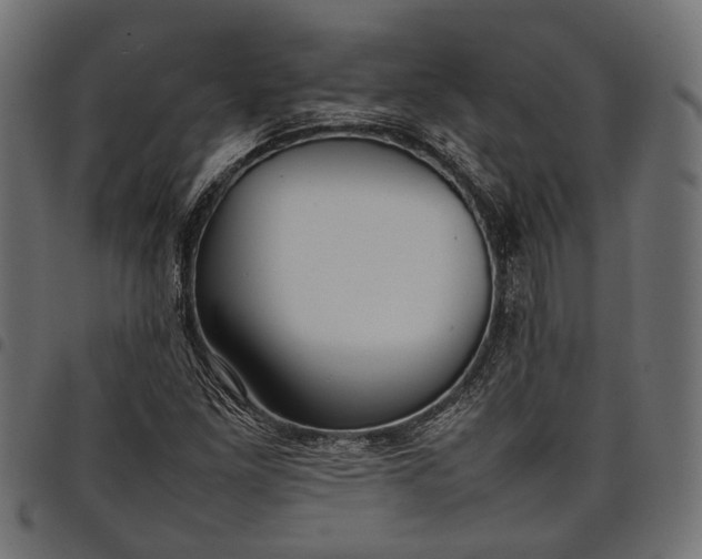 X0000097881261200803281216