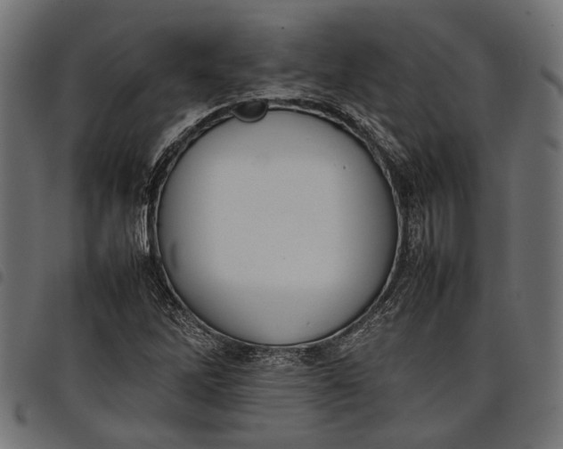 X0000097881262200803281216