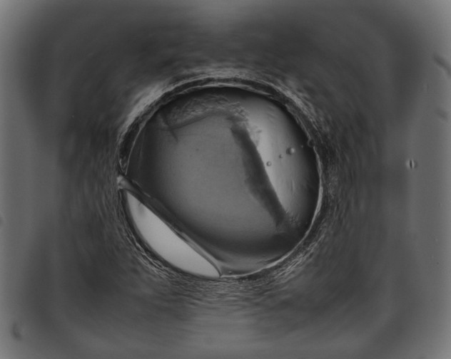 X0000097881263200803281216