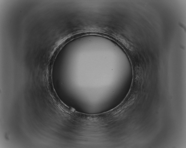 X0000097881264200803281216