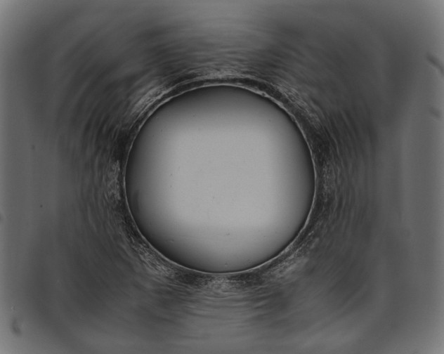 X0000097881265200803281216