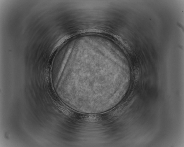 X0000097881266200803281216