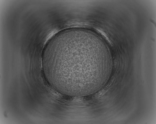 X0000097881267200803281216