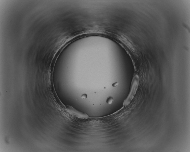 X0000097881268200803281216