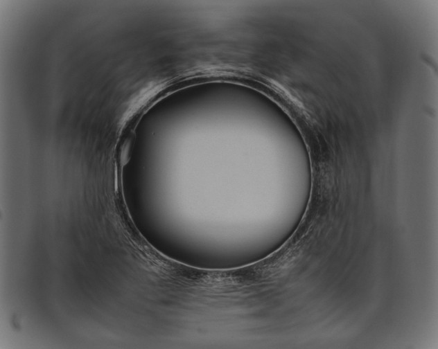 X0000097881269200803281216