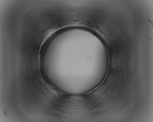 X0000097881270200803281215