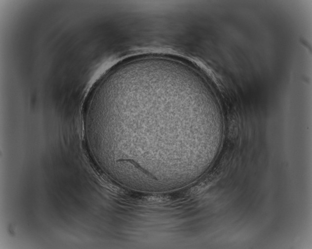 X0000097881271200803281215