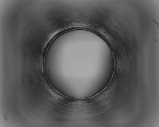 X0000097881272200803281215