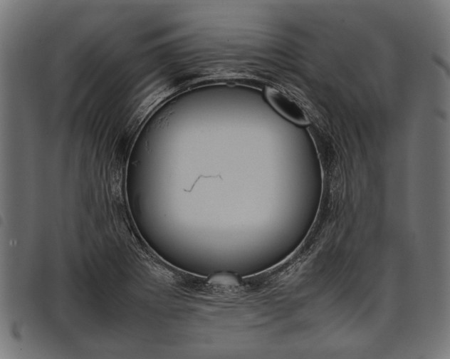 X0000097881273200803281215