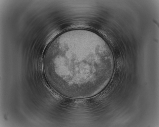 X0000097881274200803281215