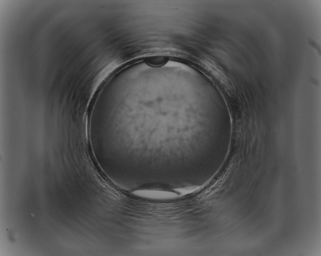 X0000097881275200803281215