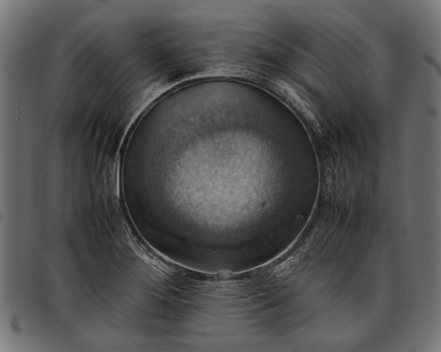 X0000097881276200803281215