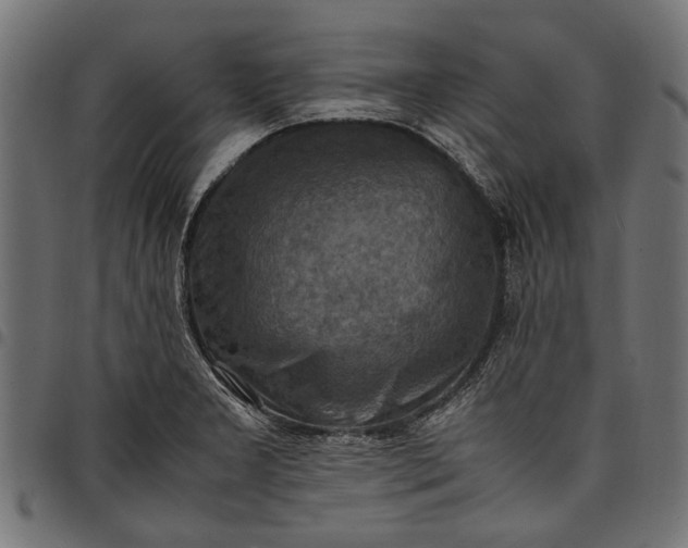 X0000097881277200803281215