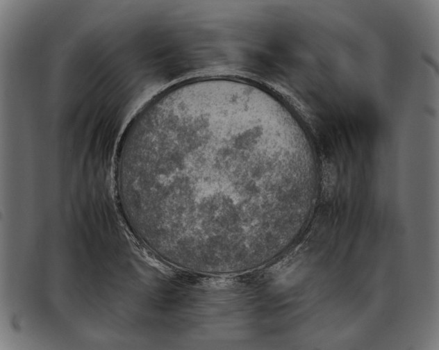 X0000097881278200803281215