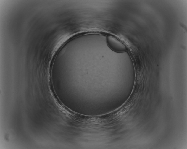 X0000097881279200803281215