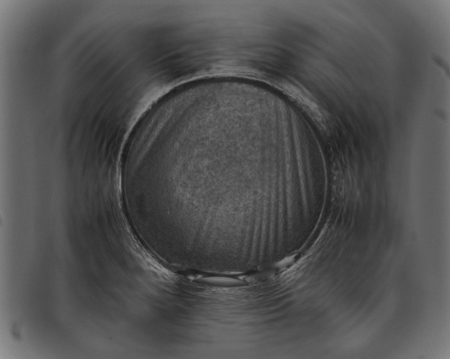 X0000097881280200803281215