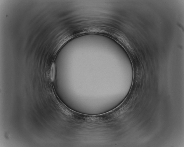 X0000097881281200803281215