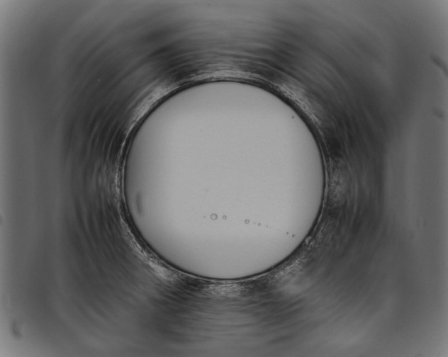 X0000097881282200803281215