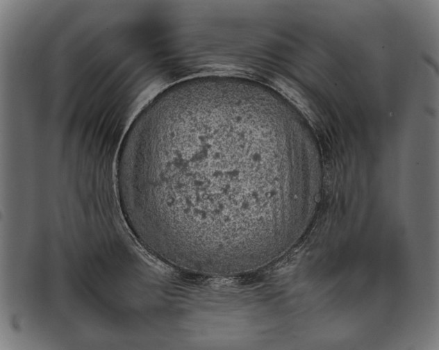 X0000097881283200803281215