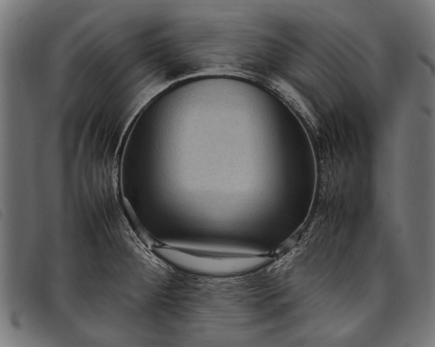 X0000097881284200803281215