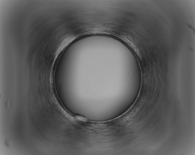 X0000097881285200803281215