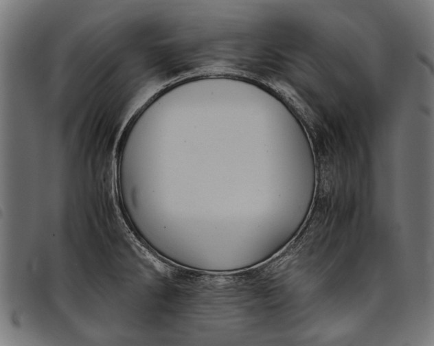 X0000097881286200803281215