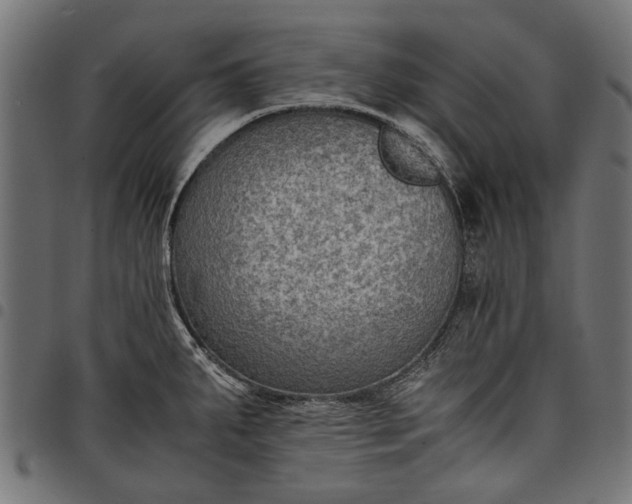 X0000097881287200803281215