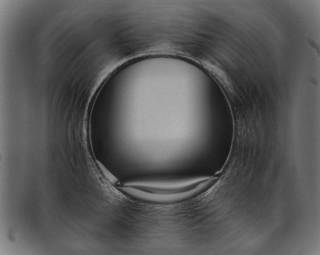 X0000097881288200803281215