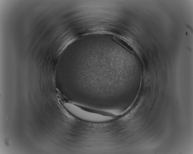 X0000097881289200803281215