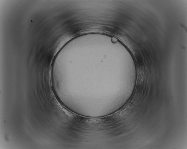 X0000097881290200803281215