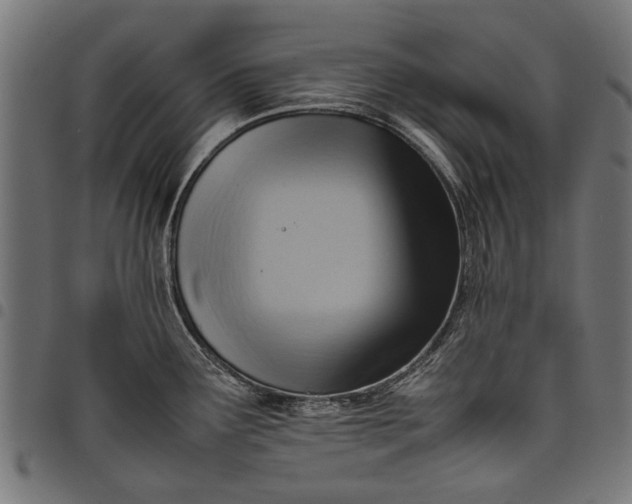 X0000097881291200803281215