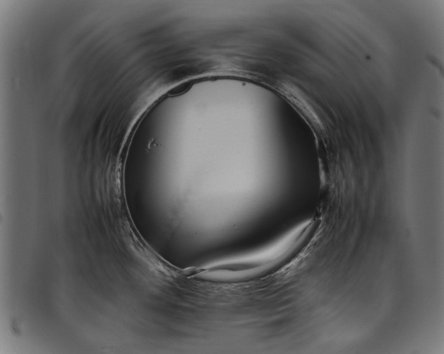 X0000097881292200803281215