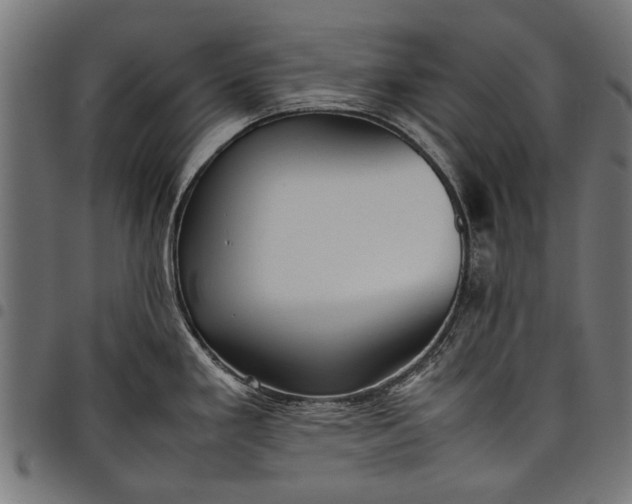 X0000097881293200803281215