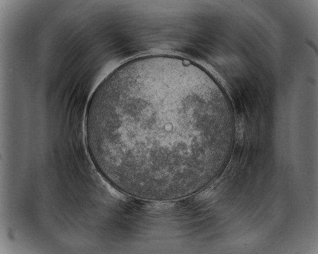 X0000097881294200803281215