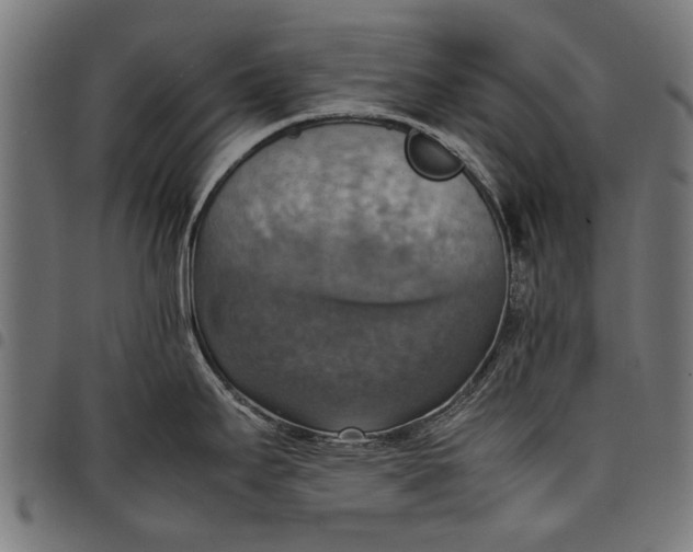 X0000097881295200803281215