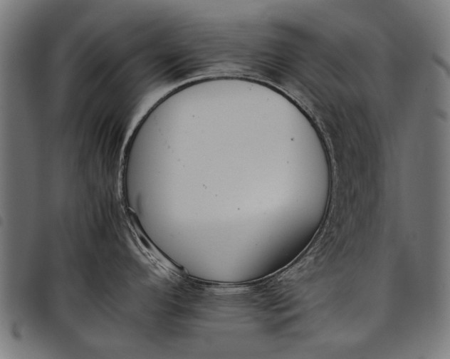 X0000097881296200803281215