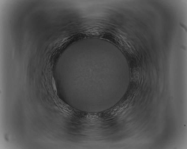 X0000097881297200803281214