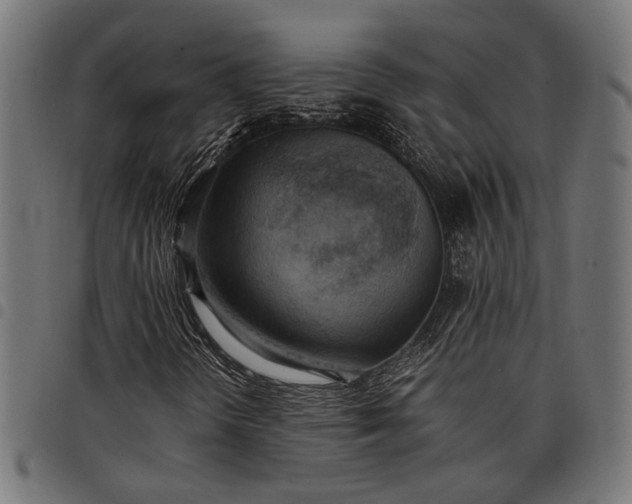 X0000097881298200803281214